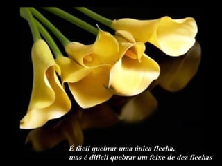 É fácil quebrar uma única flecha,
mas é difícil quebrar um feixe de dez flechas
 