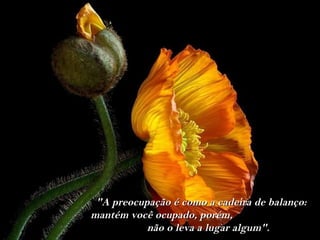  "A preocupação é como a cadeira de balanço:
mantém você ocupado, porém,
           não o leva a lugar algum".
 