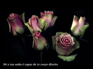 Só a tua unha é capaz de te coçar direito
 