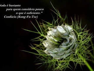 Nada é bastante
     para quem considera pouco
            o que é suficiente."
   Confúcio (Kung-Fu-Tse)
 