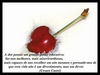A dor possui um grande poder educativo:
faz-nos melhores, mais misericordiosos,
mais capazes de nos recolher em nós mesmos e persuade-nos de
  que esta vida não é um divertimento, mas um dever.
                        (Cesare Cantú)
 