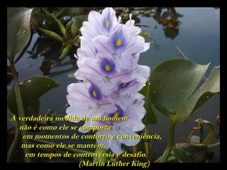 Oswaldo Montenegro. Quando a gente ama.


A verdadeira medida de um homem
  não é como ele se comporta
   em momentos de conforto e conveniência,
   mas como ele se mantém
    em tempos de controvérsia egilmargss@yahoo.com.br
                                desafio.
                    (Martin Luther King)
 