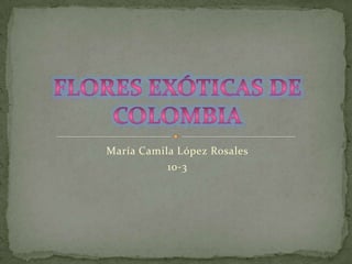 María Camila López Rosales
10-3

 