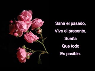 Sana el pasado,
Vive el presente,
Sueña
Que todo
Es posible.
 