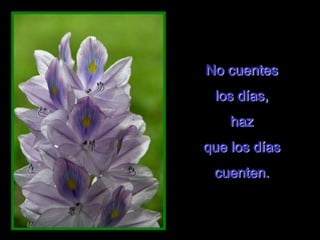 No cuentes
los días,
haz
que los días
cuenten.
 