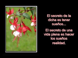El secreto de la
dicha es tener
sueños...
El secreto de una
vida plena es hacer
los sueños
realidad.
 