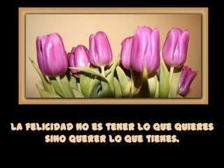 La felicidad no es tener lo que quieres
sino querer lo que tienes.
 