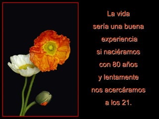 La vida
sería una buena
experiencia
si naciéramos
con 80 años
y lentamente
nos acercáramos
a los 21.
 