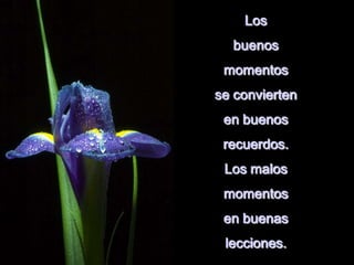 Los
buenos
momentos
se convierten
en buenos
recuerdos.
Los malos
momentos
en buenas
lecciones.
 
