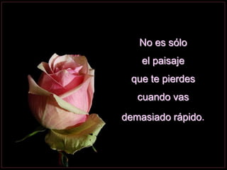 No es sólo
el paisaje
que te pierdes
cuando vas
demasiado rápido.
 