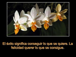 El éxito significa conseguir lo que se quiere. La
felicidad querer lo que se consigue.
 