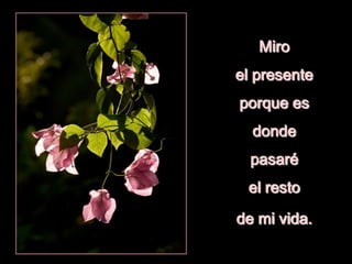 Miro
el presente
porque es
donde
pasaré
el resto
de mi vida.
 