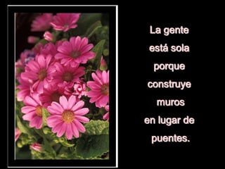 La gente
está sola
porque
construye
muros
en lugar de
puentes.
 