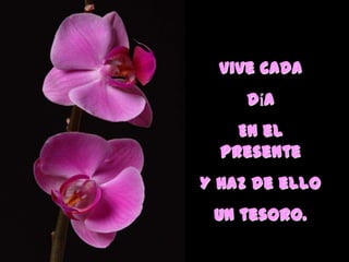 Vive cada
día
En el
presente
Y haz de ello
Un tesoro.
 