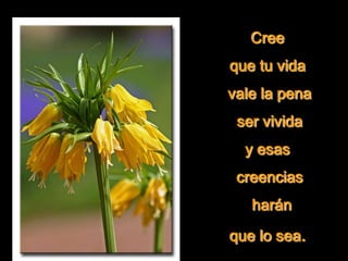 Cree
que tu vida
vale la pena
ser vivida
y esas
creencias
harán
que lo sea.
 