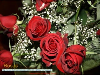 Rosas
http://www.flickr.com/photos/58167807@N00/4375033351
Presentación de Marisol García