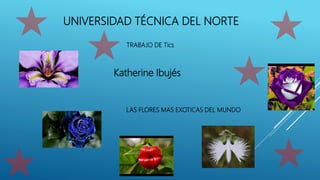 UNIVERSIDAD TÉCNICA DEL NORTE
TRABAJO DE Tics
Katherine Ibujés
LAS FLORES MAS EXOTICAS DEL MUNDO
 