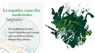 Integrantes:
La orquídea como flor
medicinales
• Brenda Meneses Escobar
• Vivian Clariza Mercado Calizaya
• Jairo Saúl Panozo Zubieta
• Mardoni Perez Medina
 