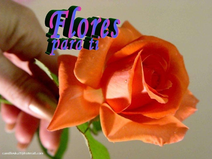 Resultado de imagen de flores para ti
