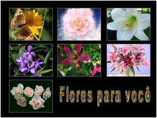 Flores para você 