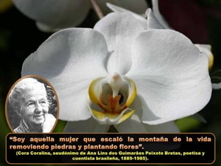 Flores para Vos