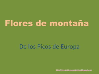Flores de montaña

  De los Picos de Europa
 