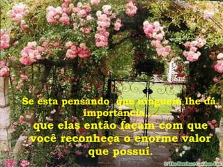 Se esta pensando  que ninguem lhe dá  importância,... que elas então façam com que você reconheça o enorme valor que possuí . 