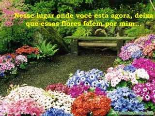 Nesse lugar onde você esta agora, deixa que essas flores falem por mim... 