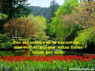 Não sei como vou te encontrar,... mas vou deixar que  estas flores  falem por mim: 