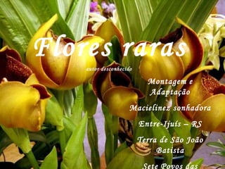 Flores raras autor desconhecido Montagem e Adaptação Macielinez sonhadora Entre-Ijuís – RS Terra de São João Batista Sete Povos das Missões 2009 