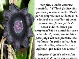 Por fim, o sábio amoroso concluiu: “ Filhos! Cuidem das pessoas que amam vocês. Vocês por si próprios não se bastam. E não podemos escolher algumas pessoas que fazem parte da nossa vida. E temos que compreendê-las e aceitá-las como elas são. E, mais, conhecê-las para julgá-las sem preconceitos. Valorizá-las pelas coisas boas que elas têm, não pelos seus defeitos, que todos nós temos.” Ninguém é igual e não existe ninguém só do jeito que eu quero. 