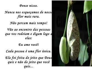 Pense nisso. Nunca nos esqueçamos de nossa flor mais rara. Não percam mais tempo! Vão ao encontro das pessoas que vos rodeiam e digam logo a elas: Eu amo você! Cada pessoa é uma flor única. Ela foi feita do jeito que Deus quis e não do jeito que você quis... 