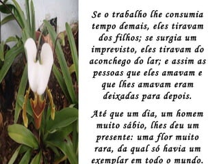 Se o trabalho lhe consumia tempo demais, eles tiravam dos filhos; se surgia um imprevisto, eles tiravam do aconchego do lar; e assim as pessoas que eles amavam e que lhes amavam eram deixadas para depois. Até que um dia, um homem muito sábio, lhes deu um presente: uma flor muito rara, da qual só havia um exemplar em todo o mundo. 