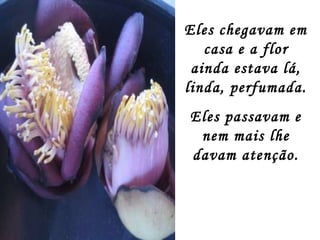 Eles chegavam em casa e a flor ainda estava lá, linda, perfumada. Eles passavam e nem mais lhe davam atenção. 