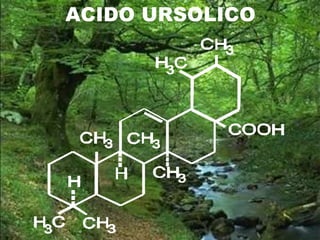 ACIDO URSOLICO
 