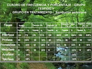 CUADRO DE FRECUENCIA Y PORCENTAJE : GRUPO
TESTIGO Y
GRUPO EN TRATAMIENTO : Sambucus peruviana
 