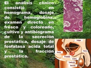 El análisis clínico
consistió en
hemograma, dosaje
de hemoglobina,
examen directo en
fresco y coloreado,
cultivo y antibiograma
de la secreción
prostática, dosaje de
fosfatasa acida total
y la fracción
prostática.
 