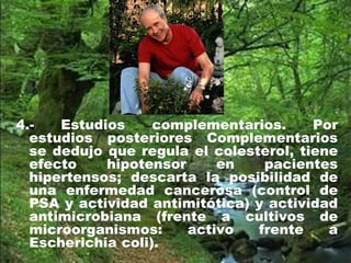 4.- Estudios complementarios. Por
estudios posteriores Complementarios
se dedujo que regula el colesterol, tiene
efecto hipotensor en pacientes
hipertensos; descarta la posibilidad de
una enfermedad cancerosa (control de
PSA y actividad antimitótica) y actividad
antimicrobiana (frente a cultivos de
microorganismos: activo frente a
Escherichia coli).
 