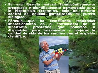 • Es una fórmula natural farmacéuticamente
procesada y científicamente comprobada para
la hiperplasia prostática, bajo un estricto
control de calidad garantizando su pureza
biológica.
• Fórmula que ha demostrado resultados
impresionantes en el tratamiento de la
hipertrofia prostática que ponemos a
disposición para incrementar y mejorar la
calidad de vida de los varones con el respaldo
científico.
 