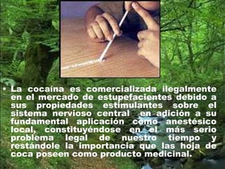 • La cocaína es comercializada ilegalmente
en el mercado de estupefacientes debido a
sus propiedades estimulantes sobre el
sistema nervioso central en adición a su
fundamental aplicación como anestésico
local, constituyéndose en el más serio
problema legal de nuestro tiempo y
restándole la importancia que las hoja de
coca poseen como producto medicinal.
 