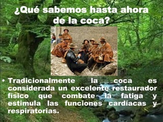 ¿Qué sabemos hasta ahora
de la coca?
• Tradicionalmente la coca es
considerada un excelente restaurador
físico que combate la fatiga y
estimula las funciones cardíacas y
respiratorias.
 