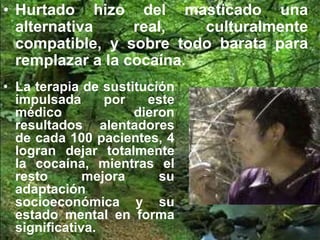 • Hurtado hizo del masticado una
alternativa real, culturalmente
compatible, y sobre todo barata para
remplazar a la cocaína.
• La terapia de sustitución
impulsada por este
médico dieron
resultados alentadores
de cada 100 pacientes, 4
logran dejar totalmente
la cocaína, mientras el
resto mejora su
adaptación
socioeconómica y su
estado mental en forma
significativa.
 