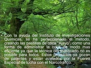 • Con la ayuda del Instituto de Investigaciones
Químicas, se ha perfeccionado el método,
creando las pastillas de coca “Ajayo”, como una
forma de administrar la coca de modo mas
eficiente ya que la técnica del masticado no es
posible para todos. Estos productos ya gozan
de patentes y están avalados por la Fuerza
Especial de lucha con el Narcotráfico.
 