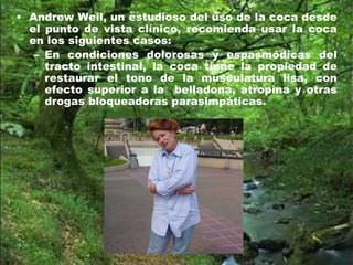• Andrew Weil, un estudioso del uso de la coca desde
el punto de vista clínico, recomienda usar la coca
en los siguientes casos:
– En condiciones dolorosas y espasmódicas del
tracto intestinal, la coca tiene la propiedad de
restaurar el tono de la musculatura lisa, con
efecto superior a la belladona, atropina y otras
drogas bloqueadoras parasimpáticas.
 