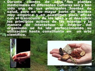 • Durante cientos de años las plantas
medicinales en diferentes culturas son y han
sido una de sus principales fuentes de
salud, pero en su mayor parte de manera
muy empírica y en ocasiones poco eficaz
con el transcurrir de los años y al descubrir
los principios activos de las mismas y la
manera de interactuar al interior del
organismo se ha ido perfeccionando su
utilización hasta constituirla en un arte
científico.
 