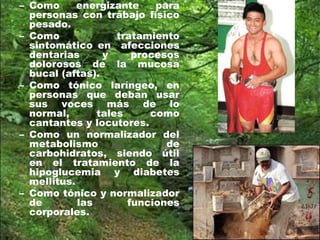– Como energizante para
personas con trabajo físico
pesado.
– Como tratamiento
sintomático en afecciones
dentarias y procesos
dolorosos de la mucosa
bucal (aftas).
– Como tónico laríngeo, en
personas que deban usar
sus voces más de lo
normal, tales como
cantantes y locutores.
– Como un normalizador del
metabolismo de
carbohidratos, siendo útil
en el tratamiento de la
hipoglucemia y diabetes
mellitus.
– Como tónico y normalizador
de las funciones
corporales.
 