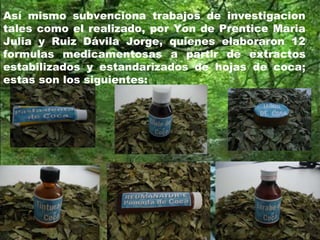 Así mismo subvenciona trabajos de investigacion
tales como el realizado, por Yon de Prentice Maria
Julia y Ruiz Dávila Jorge, quienes elaboraron 12
formulas medicamentosas a partir de extractos
estabilizados y estandarizados de hojas de coca;
estas son los siguientes:
 