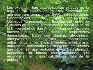 • Los expertos han catalogado las virtudes de la
hoja en su estado natural, sin necesidad de
grandes transformaciones. Según investigaciones
Etnobotánicas de 1997, dirigidas por Médicos,
Químicos Farmacéuticos y Biólogos del centro de
Estudios de plantas alimenticias y medicinales de
la Universidad de San Antonio Abad del Cuzco en
nuestro país, tiene muchas propiedades
demostradas. Estas son algunas; afrodisíaca,
adelgazante, analgésica, anorexígena,
antiasmática, antiemética, antiestrés, antiulcerosa,
antipirética, antiprurítica y astringente; actividades
que deben ser aprovechadas en toda su plenitud,
traducidas en formas medicamentosas que
redundarían en mejor calidad de vida de la
población.
 