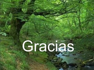 Gracias
 