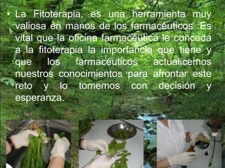 • La Fitoterapia, es una herramienta muy
valiosa en manos de los farmacéuticos .Es
vital que la oficina farmacéutica le conceda
a la fitoterapia la importancia que tiene y
que los farmacéuticos actualicemos
nuestros conocimientos para afrontar este
reto y lo tomemos con decisión y
esperanza.
 